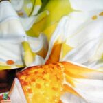 Cotton bedding set | 100% cotton - Image 4